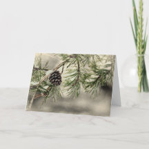 Winter Pine Cone and Snow Greeting Card