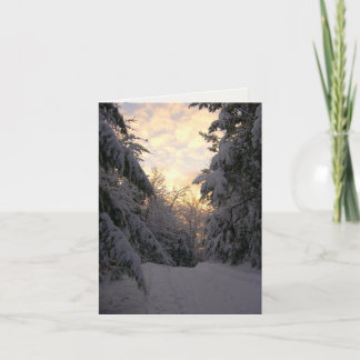 Cartão Winter Pines Sunrise Photography Note