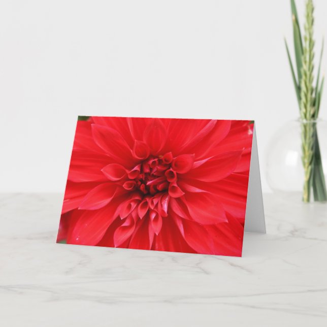 Cartão Winter Sun Greeting Card (Frente)