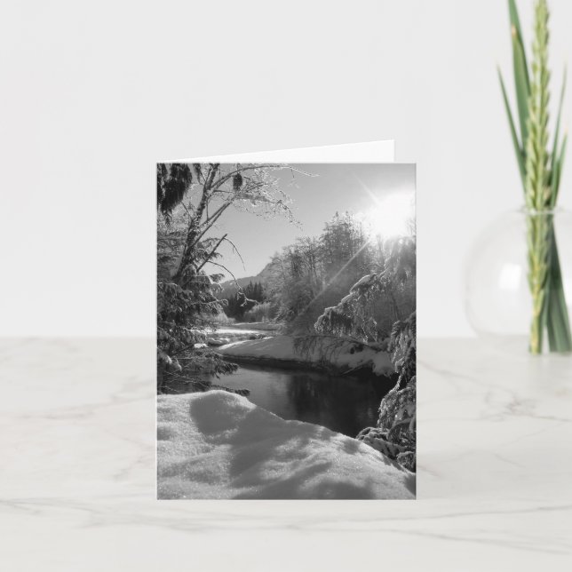 Cartão Winter Sun Note Card, Blank Inside (Frente)