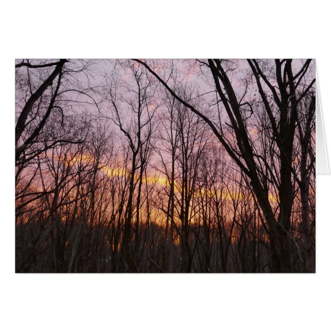 Cartão Winter Sunrise II (Frente Horizontal)