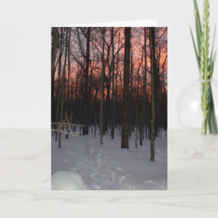 Cartão Winter Sunset Greeting Card