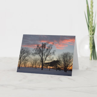 Cartão Winter Sunset & Trees Blank Greeting Card