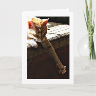 Cartão "Winter Sunshine"