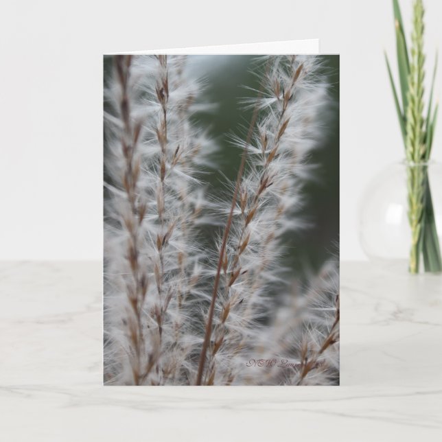 Cartão Winter Wheat (Frente)