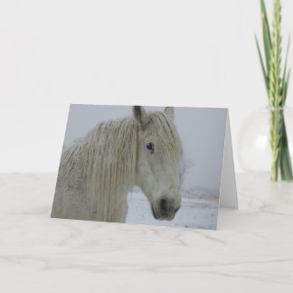 Cartão Winter White