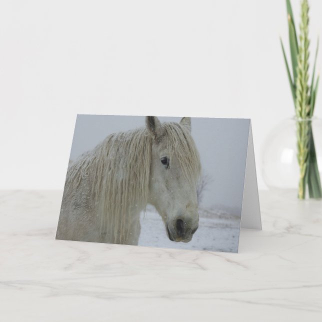 Cartão Winter White (Frente)