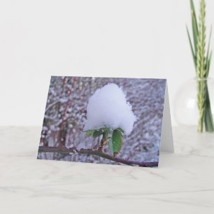 Cartão Wintergrusskarte hübsche Schneeplfanze, blanko