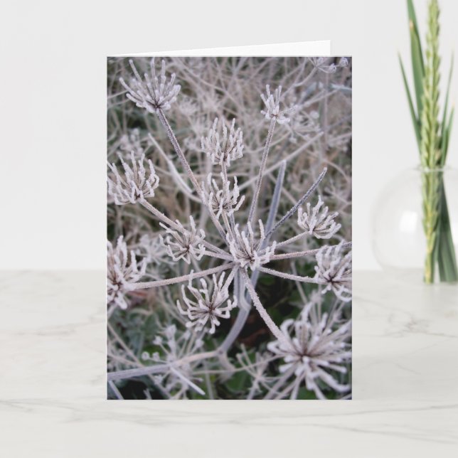 Cartão winters claws (Frente)