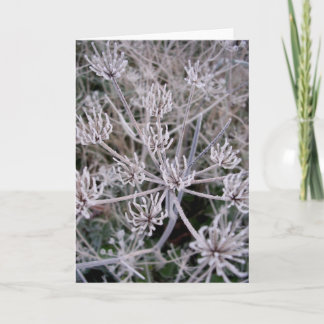 Cartão winters claws