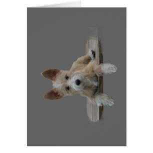 Cartão Wire Português Podengo Pequeno