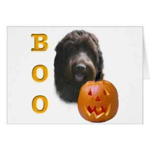 Cartão Wirehaired Pointing Griffon Boo