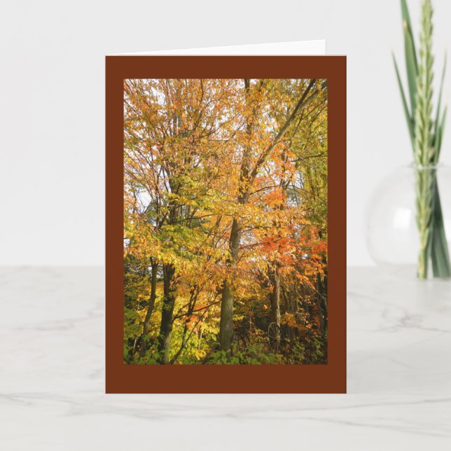 Cartão Wisconsin Woodland in Autumn Blank Note Card (Frente)
