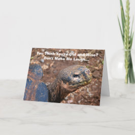 Cartão Wise Old Tortoise Feliz Humor de Aniversário