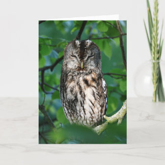 Cartão Wise owl