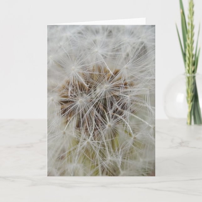 Cartão Wishes Large Note Card (Frente)