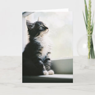 Cartão Wishful Thinking Greeting Card