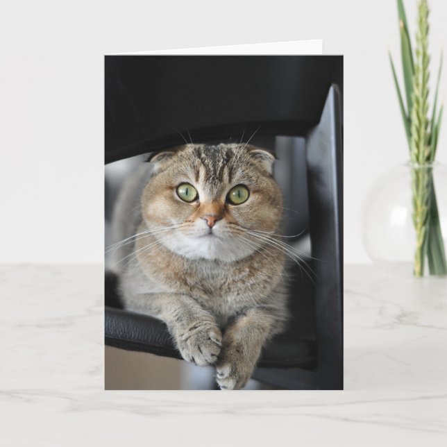 Cartão Wishing you happy birthday (Frente)