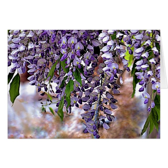 Cartão Wisteria (Frente Horizontal)