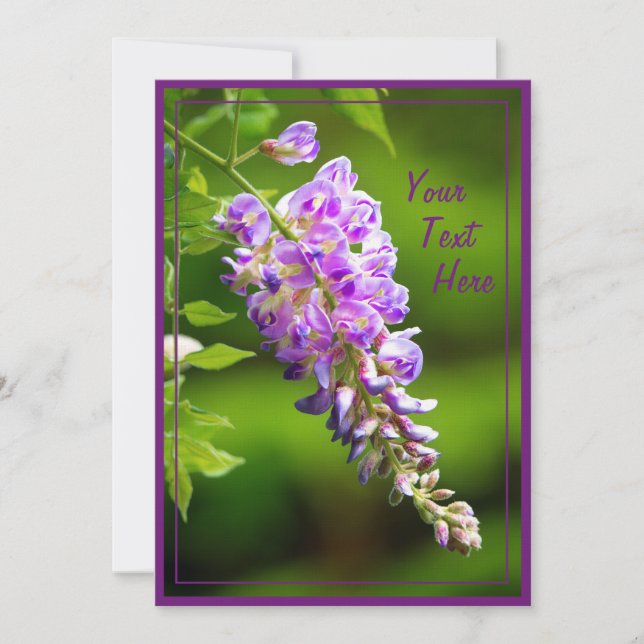 Cartão Wisteria (Frente)