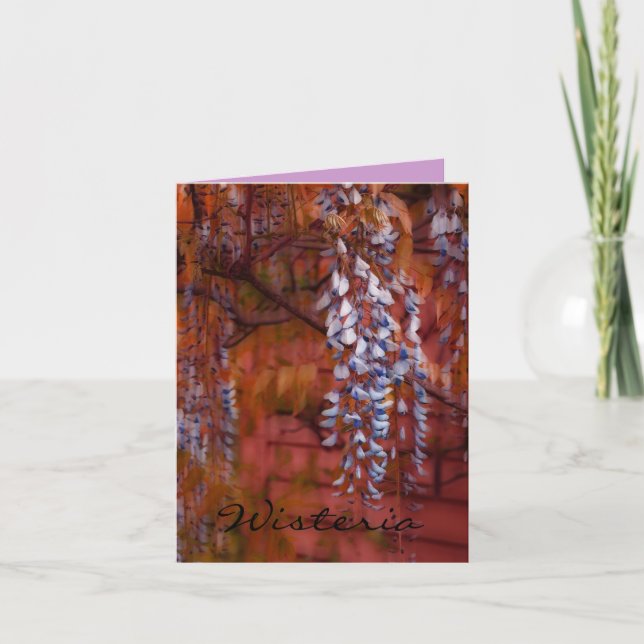 Cartão Wisteria (Frente)