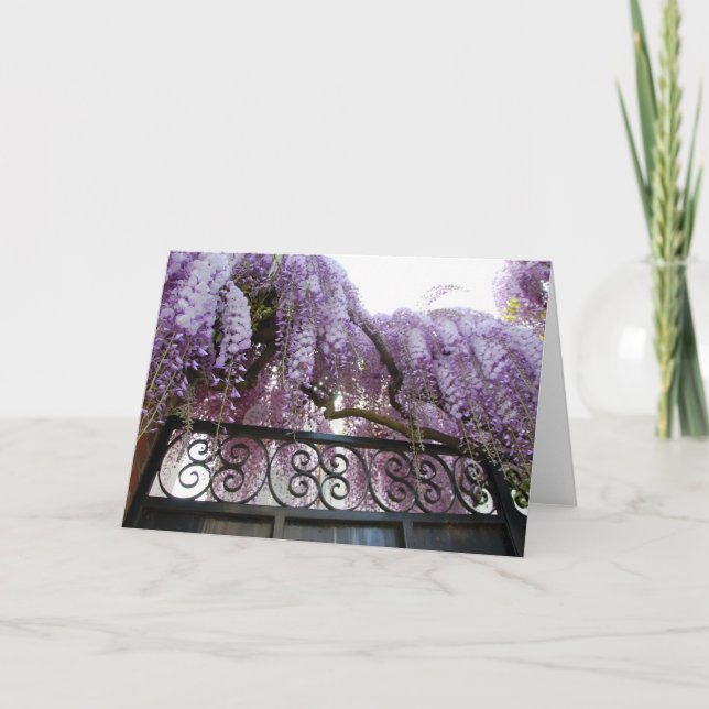 Cartão Wisteria (Frente)