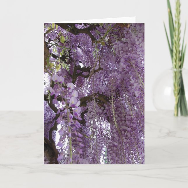 Cartão Wisteria Too (Frente)