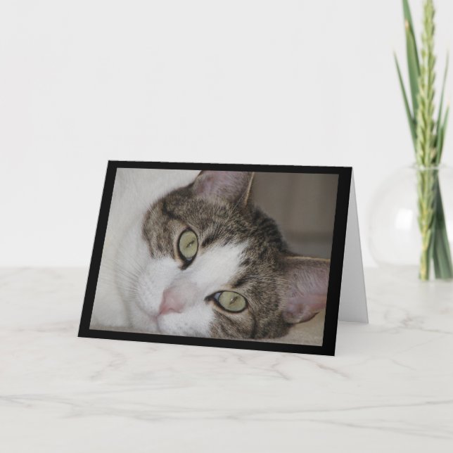 Cartão Wistful Cat Missing You Greeting Card (Frente)