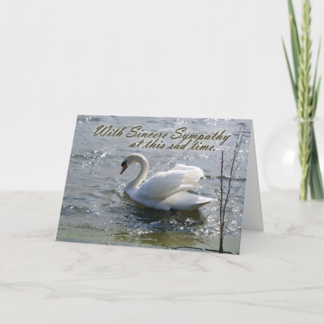 Cartão With Sincere Sympathy Swan Card (Frente)