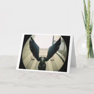 Cartão With Wings Wide Open...