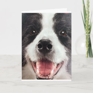 CARTÃO WOF WOF OU OUTRAS PALAVRAS **FELIZ ANIVERSÁRIO**