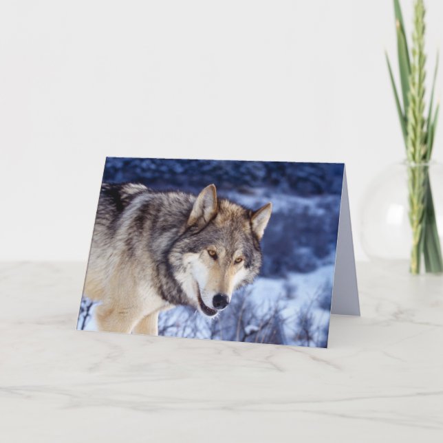 Cartão Wolf 2 de inverno (Frente)