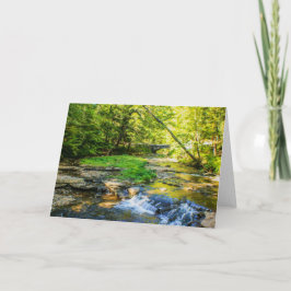 Cartão Wolf Creek Card