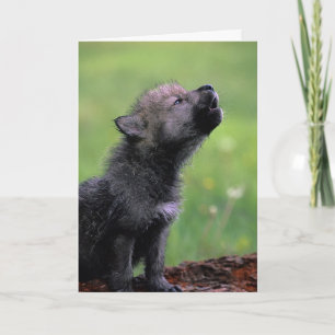 Cartão Wolf Cub Howling Missing You Card