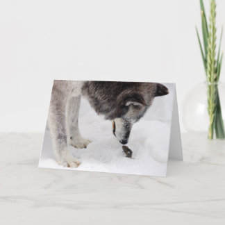 Cartão Wolf & Mouse Card