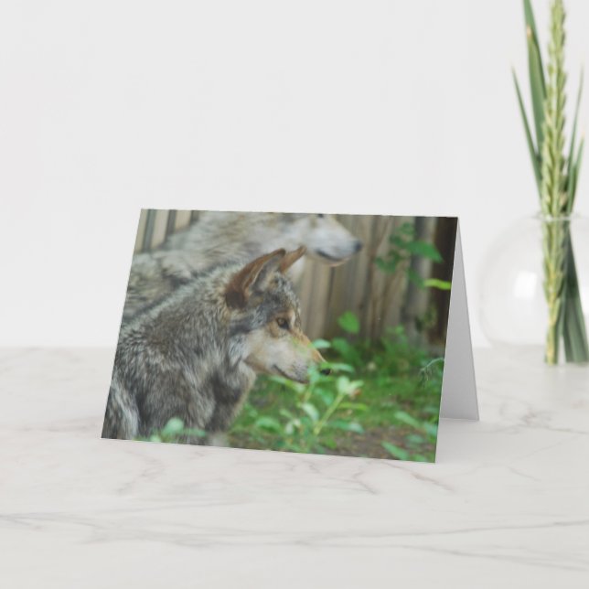Cartão Wolf Pair  Greeting Cards (Frente)