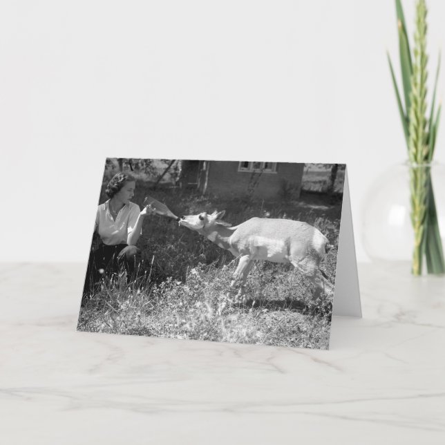 Cartão Woman bottle feeding an antelope. (Frente)