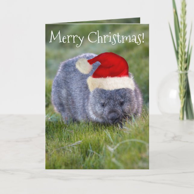 Cartão Wombat Australia Red Santa Hat Merry Christmas (Frente)