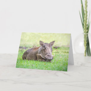 Cartão Wonderful Warthog Greeting Card