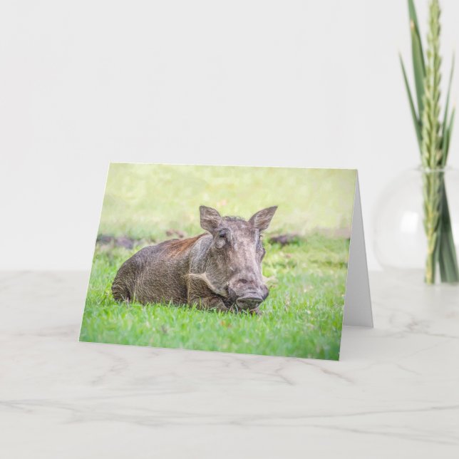 Cartão Wonderful Warthog Greeting Card (Frente)