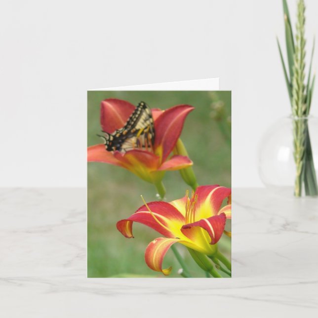 Cartão Wonders Beyond (Frente)