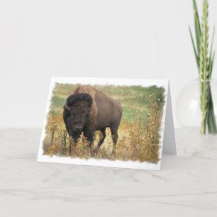 Cartão Wood Bison Greeting Card