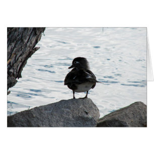 Cartão Wood Duck Hen