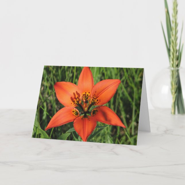 Cartão Wood Lily Note Card (Frente)