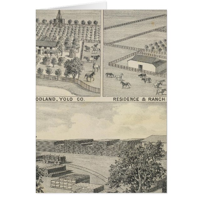 Cartão Woodland Lumber (Frente)