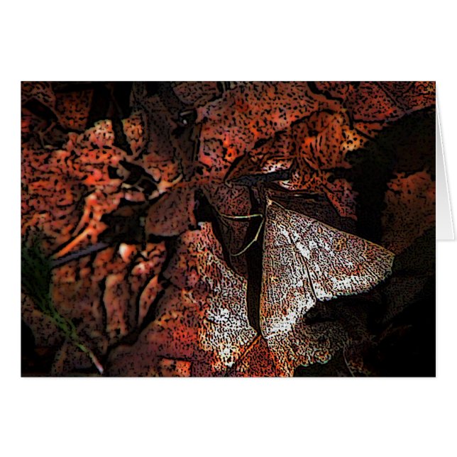 Cartão Woodland Moth (Frente Horizontal)