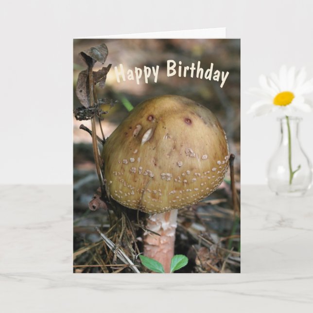 Cartão Woodland Mushroom Nature Birthday (Planta pequena)