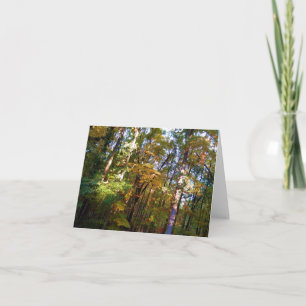 Cartão Woodland Note Card Autumn Sunshine