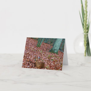 Cartão Woodland Note Card Doe a Deer