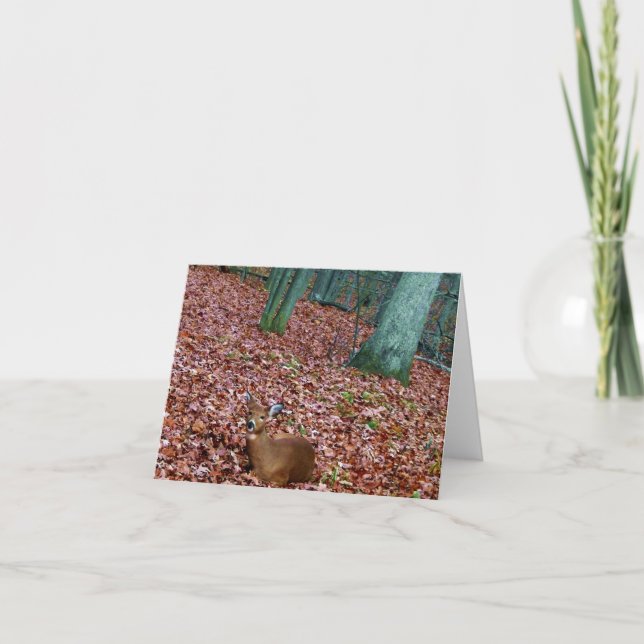 Cartão Woodland Note Card Doe a Deer (Frente)